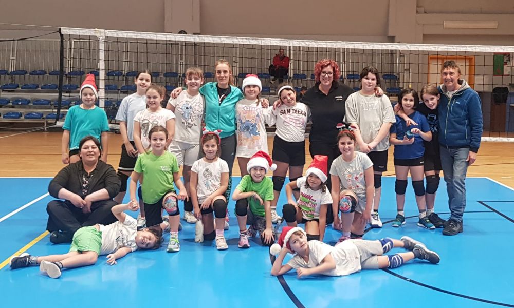 S3 Vivilvolley